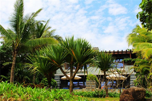 麦琪蛋糕加盟流程复杂吗