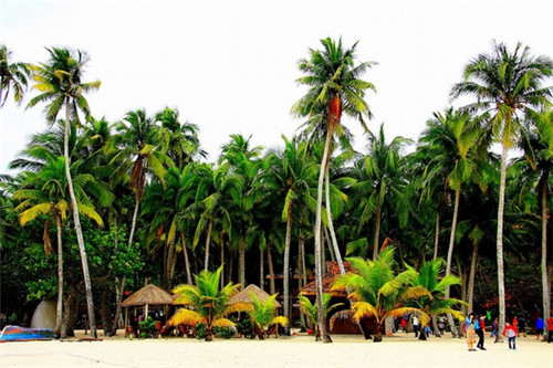 在上饶县加盟李记鸭脖哪个地段客源多，上饶县开鸭脖加盟排名前十的品牌有哪些