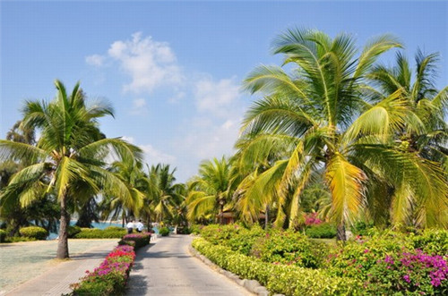 上海餐饮设计选哪家公司