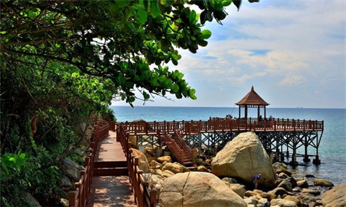 南平市加盟精典泰迪奶茶投入会不会很高