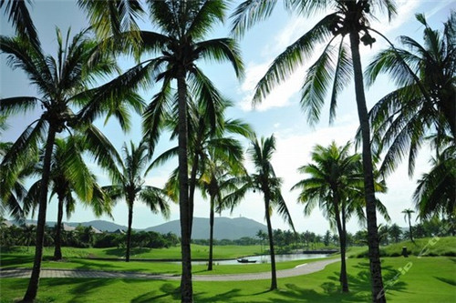 川澄健寿司加盟在平原县开店多久回本