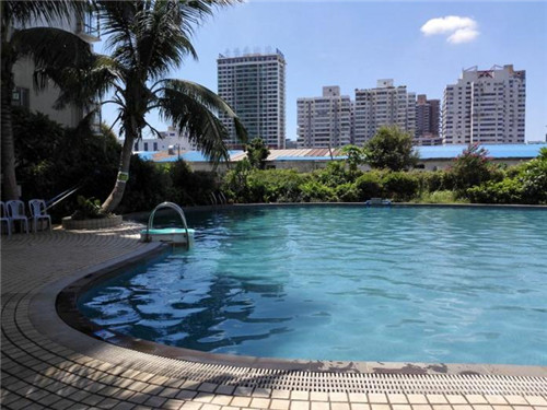 胡歌说的恐龙是什么（胡歌说的恐龙是什么龙）