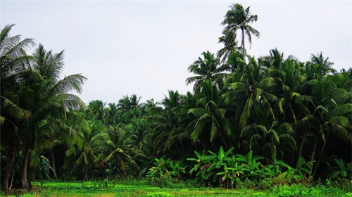 潜山县有什么好玩的景点（潜山县有哪些好玩的景点）