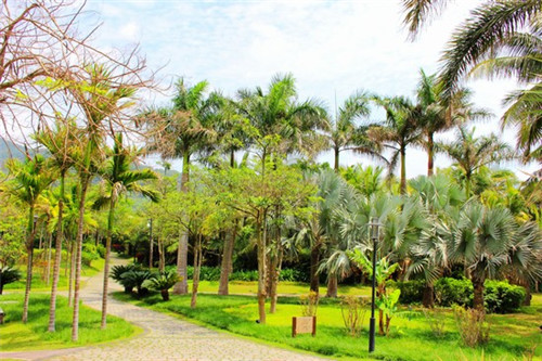 着香华什么意思（着香的说法）