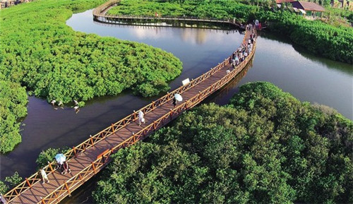 战地1配什么歌好听呢（战地一的音乐）