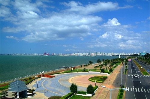 鸡小萌鸡排在古蔺县市场潜力怎么样