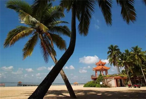 零食加盟店怎么选址方向