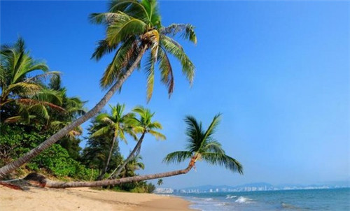 软包加盟十大免费加盟项目