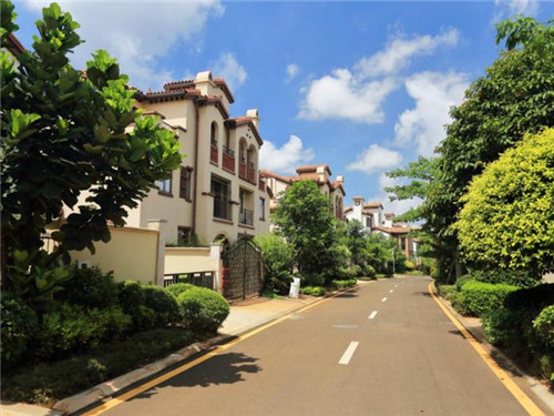 周罗村旅游攻略（周洛景区联系方式）